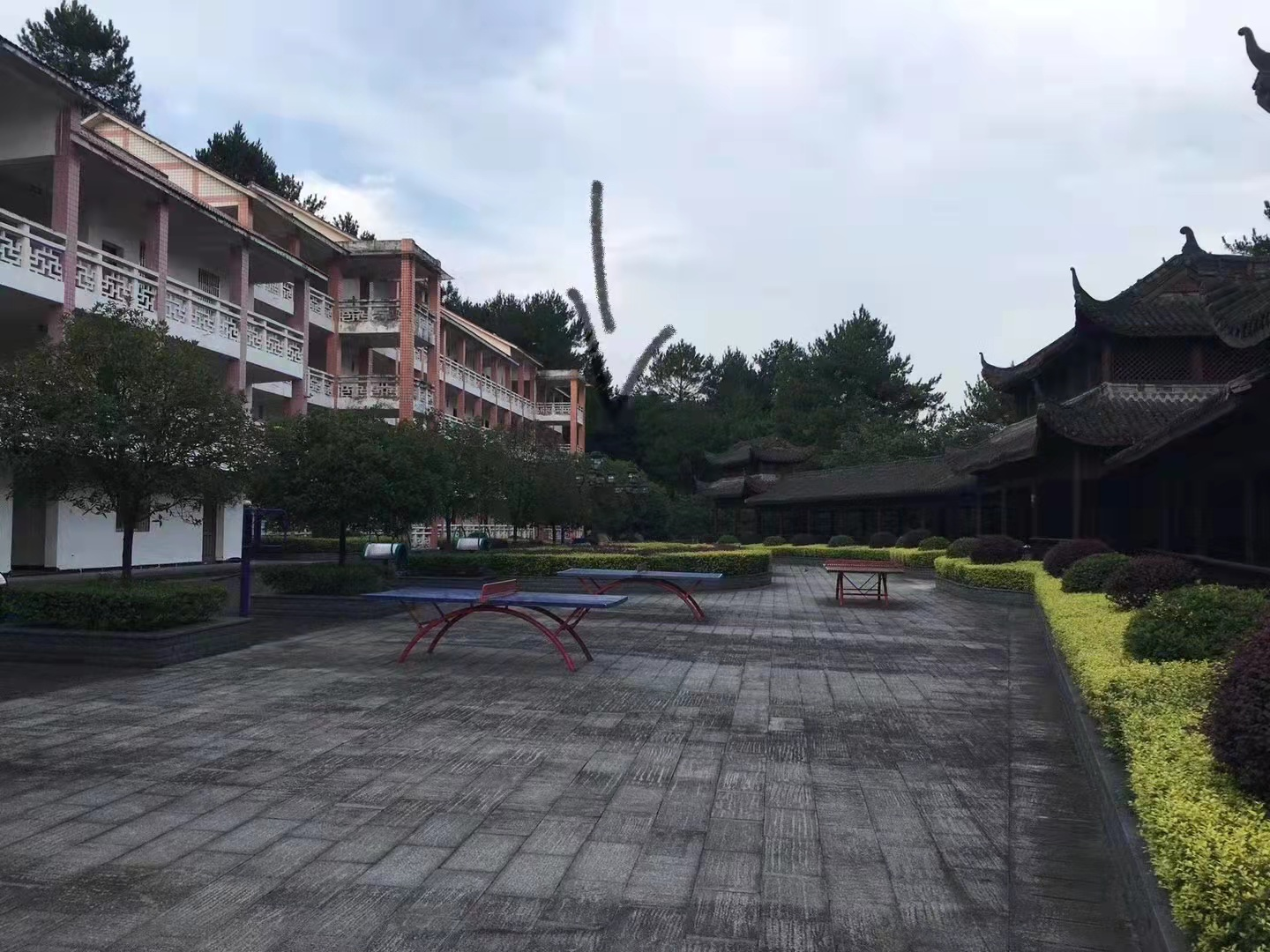 图片11.png